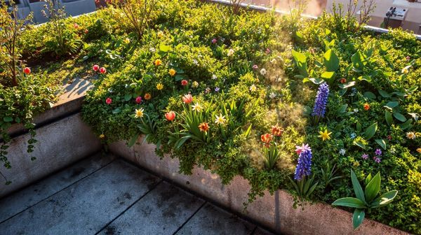 Les avantages incontournables d'une toiture terrasse verte
